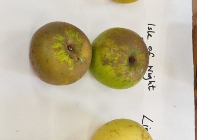 Marston Community Market 4th October 2025